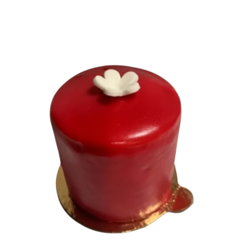 ROUGE PSTR